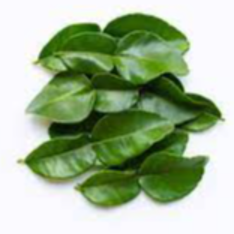 Kaffir Lime Leaves Main Image